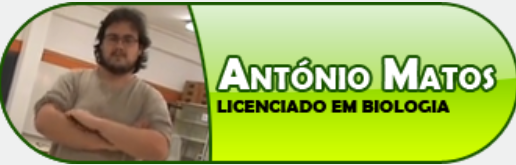 António Matos